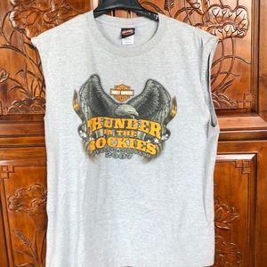 Thunder in the Rockies Harley Davidson Shirt